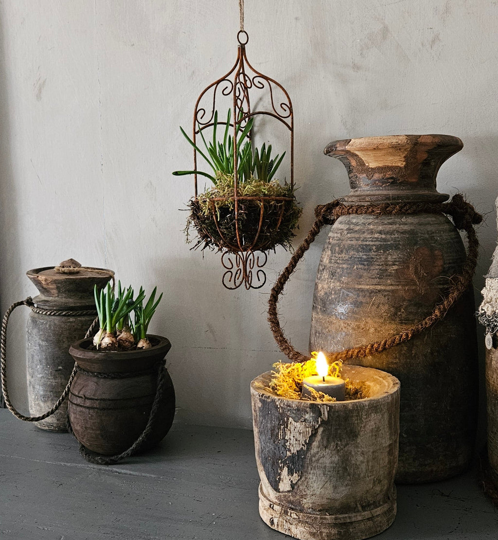 Vogelkooitje roest