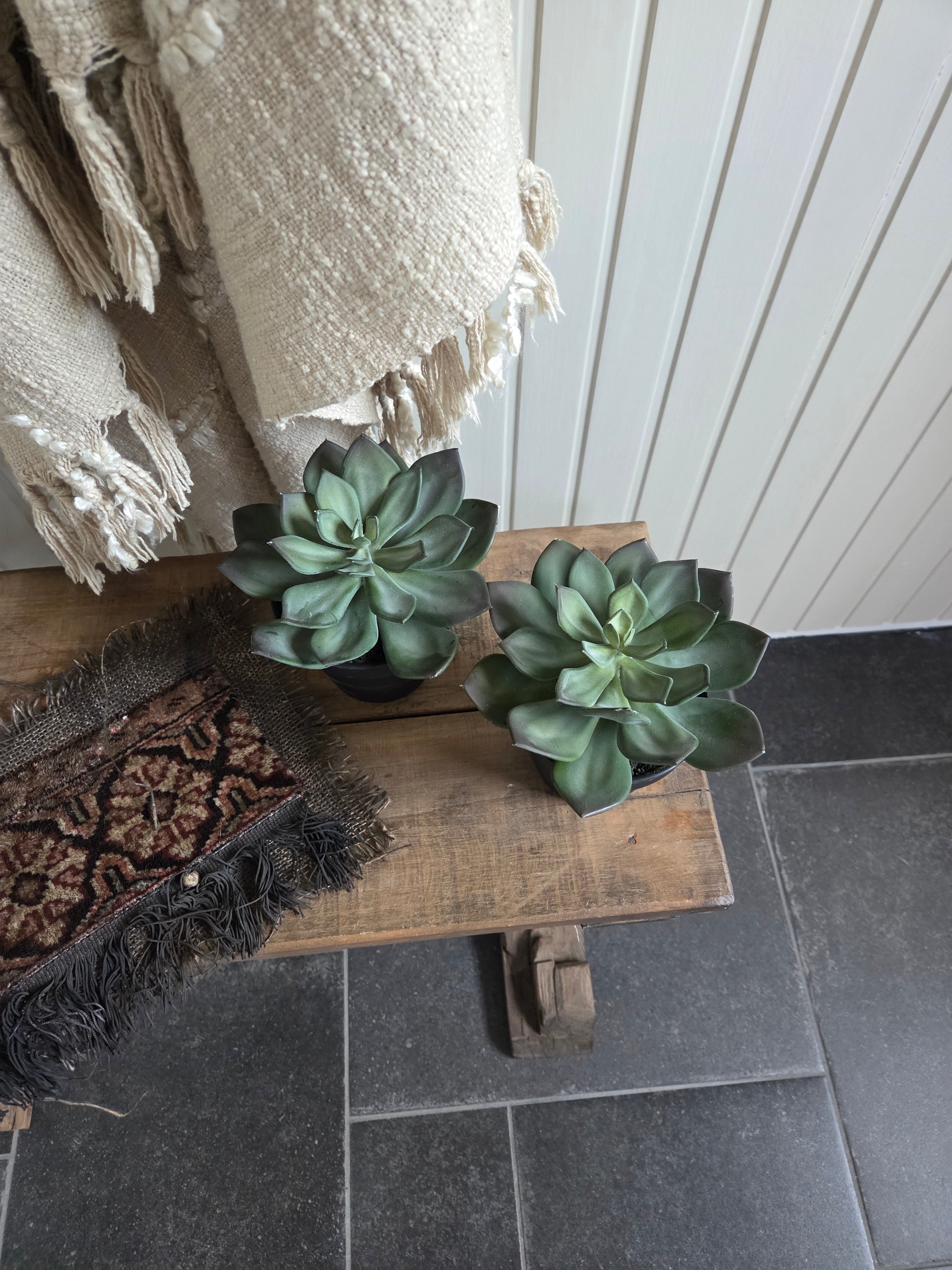Kunstplantje Echeveria